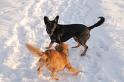 vriendin  chelsey _03-01-10_1